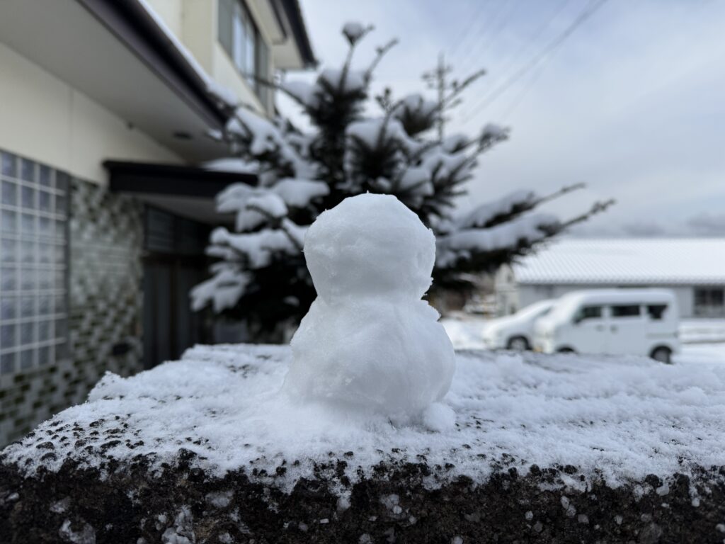 ちょっと雪が降ったね(^｡^)