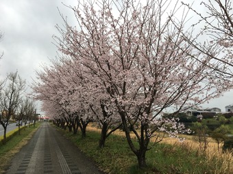 やっぱりね(^_^)